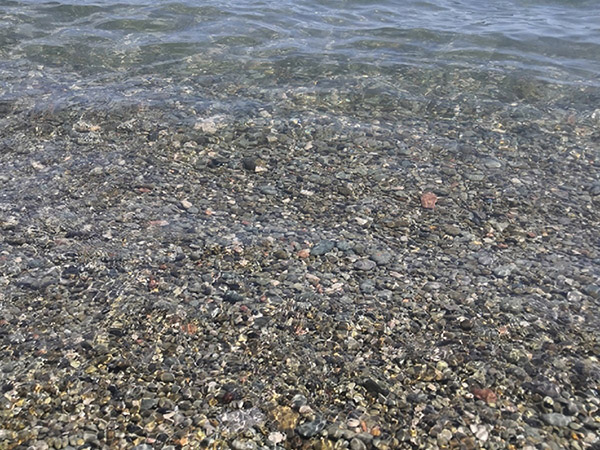 море в Алуште в июле
